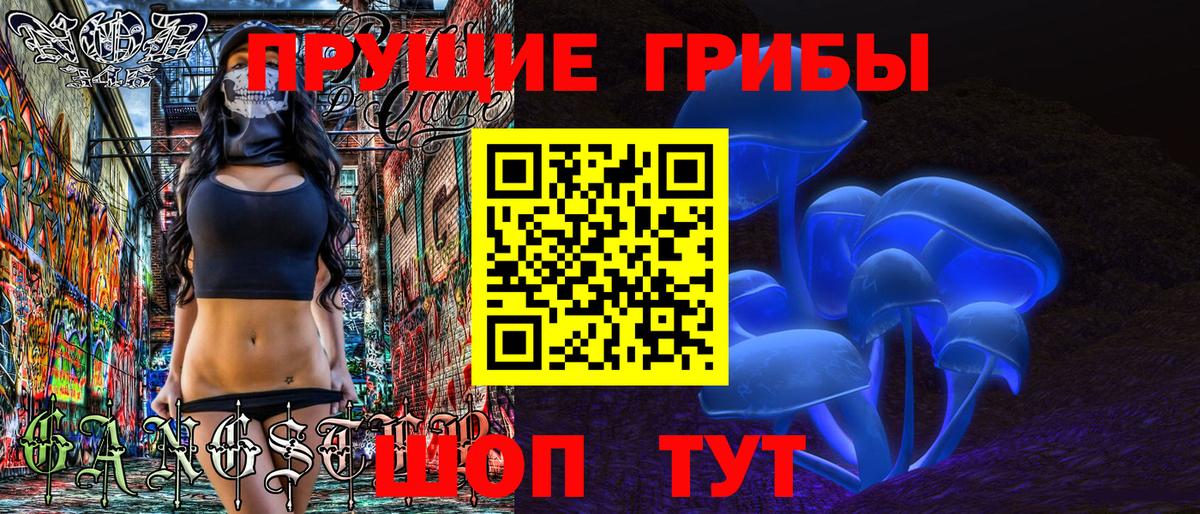 Галлюциногенные грибы Psilocybe Десногорск